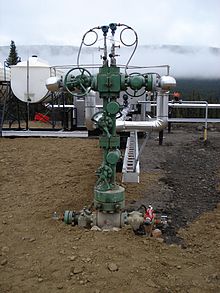 220px-wellhead-dual_completion